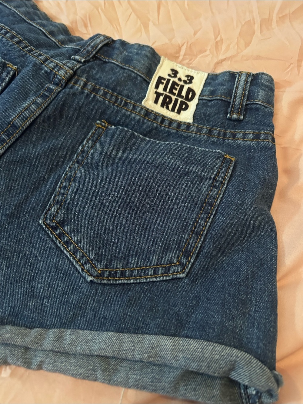 3.3 Field Trip Denim Shorts. Size 27.